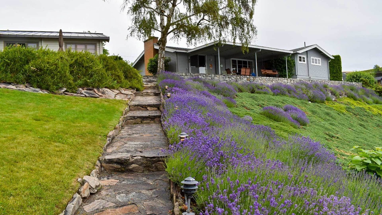 Photo of Outdoor in Manson