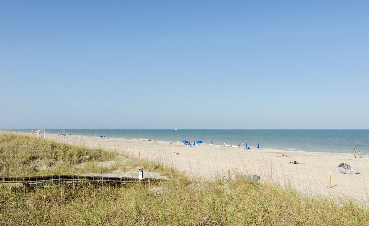 Photo of Others in North Carolina Coast