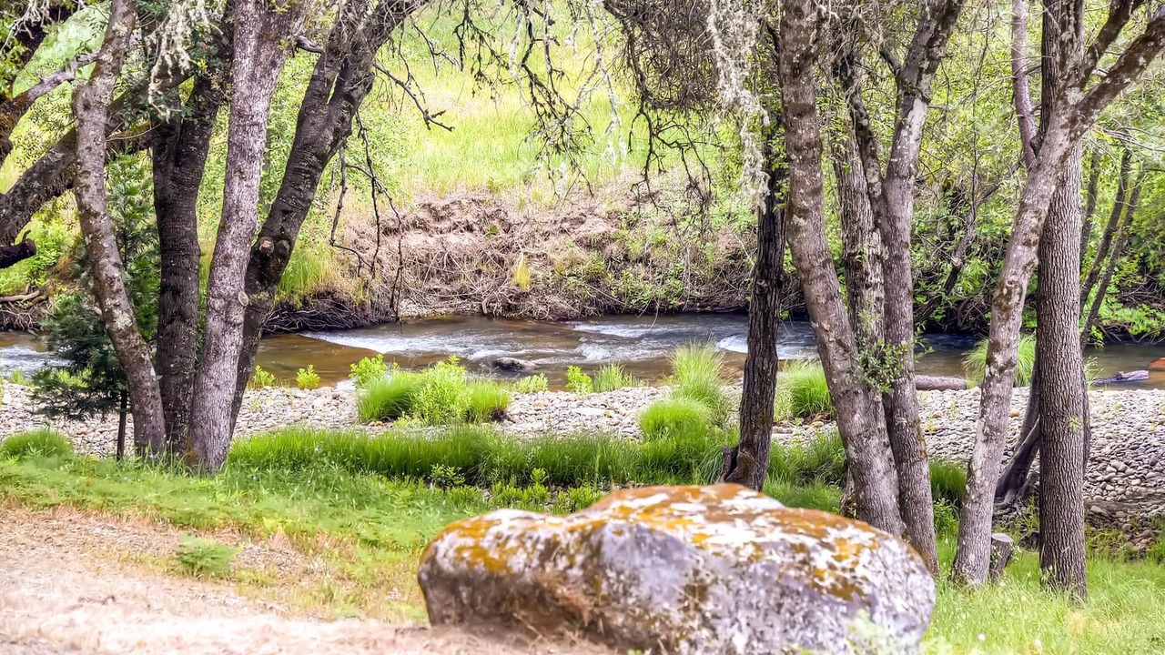 Photo of Others in Placerville