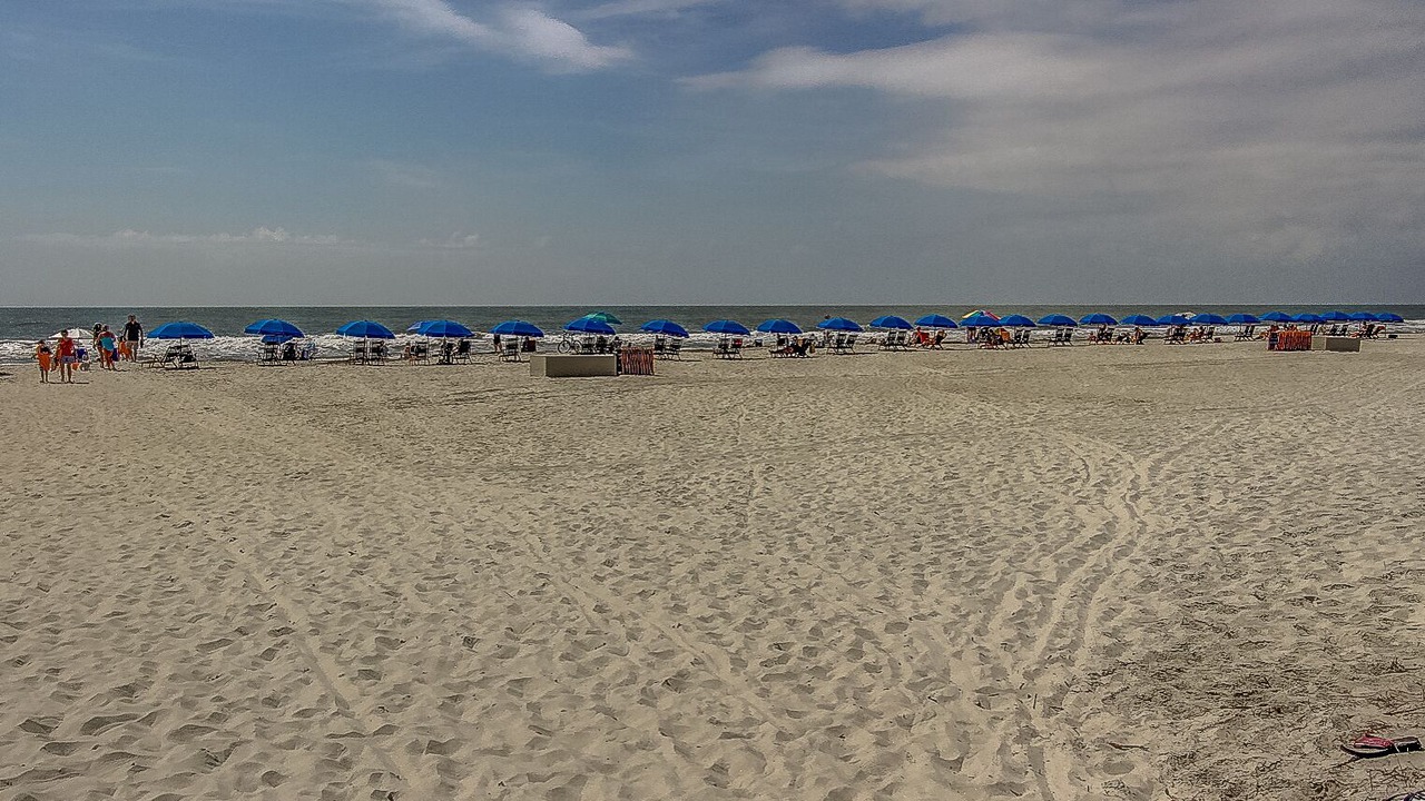 Photo of Others in North Forest Beach