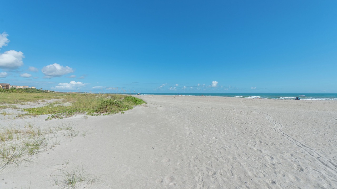 Photo of Others in Port Canaveral