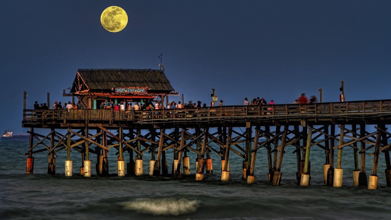 Photo of Others in Port Canaveral