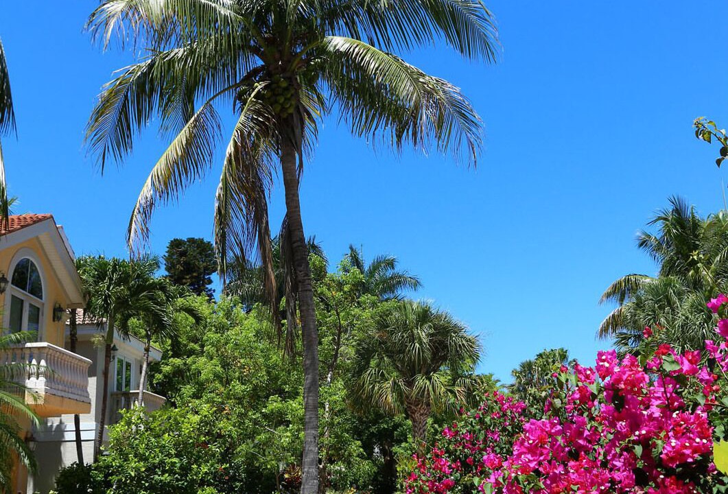 Photo of Outdoor in Captiva