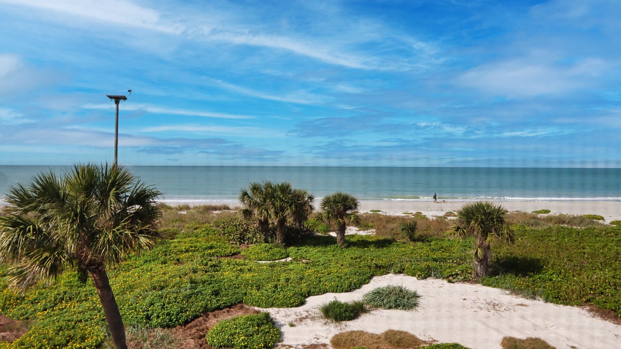 Photo of Others in Captiva