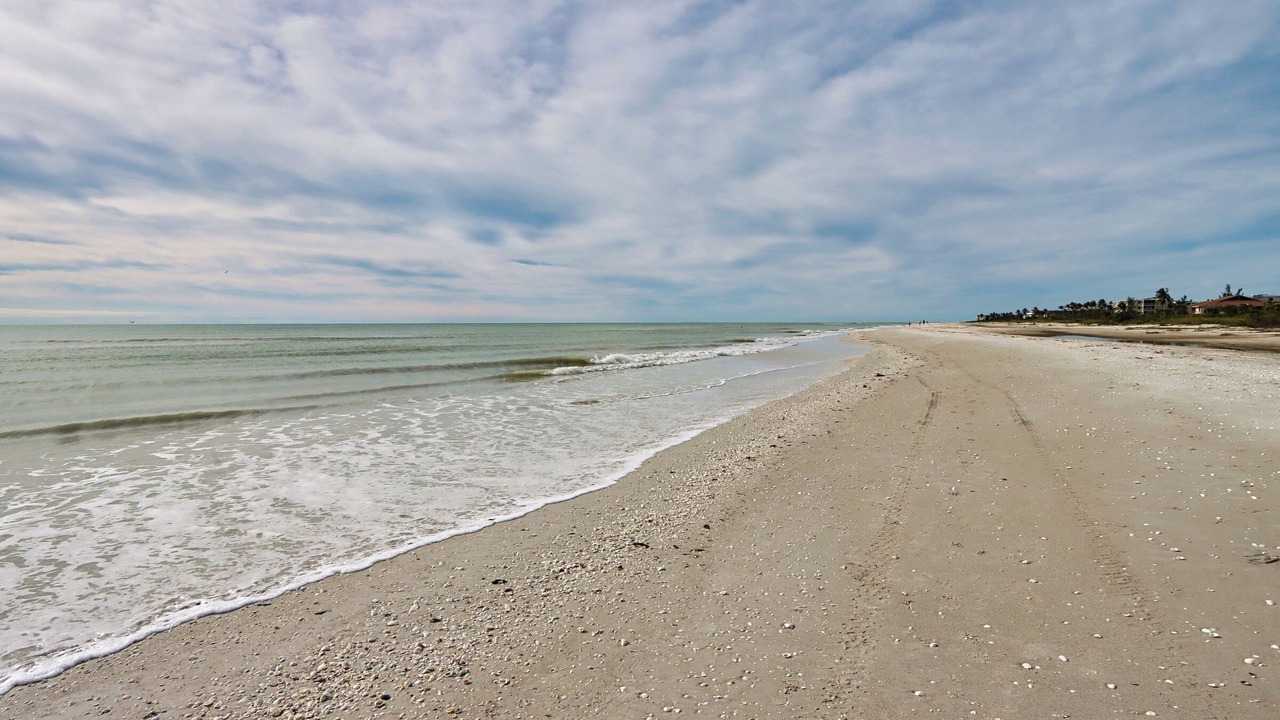 Photo of Others in Sanibel