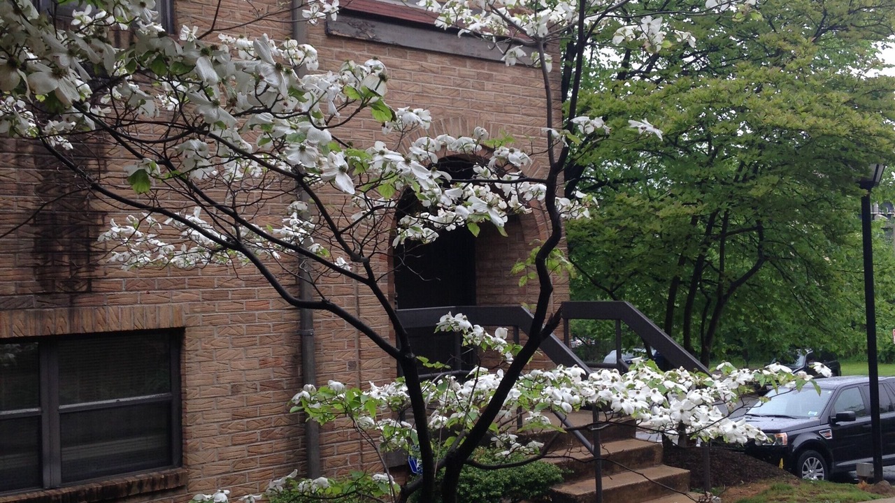 Photo of Others in Fort Lincoln