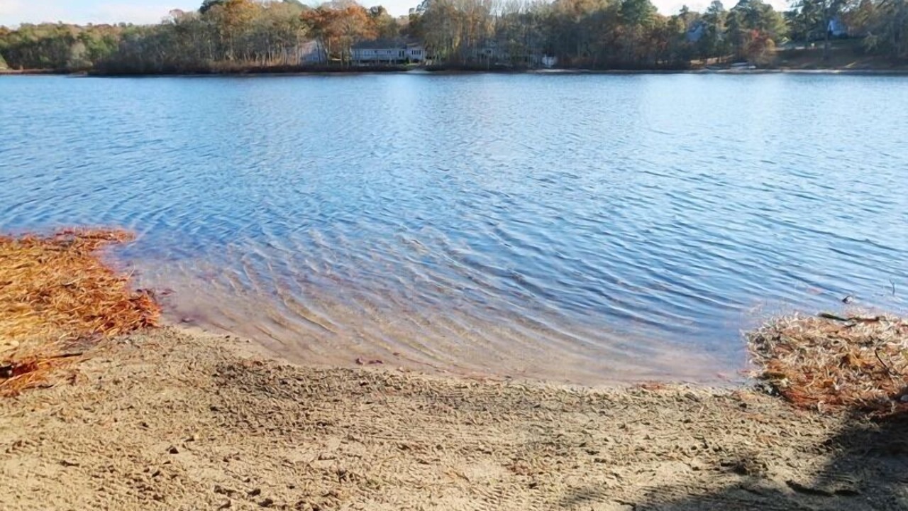 Photo of Others in Harwich Center