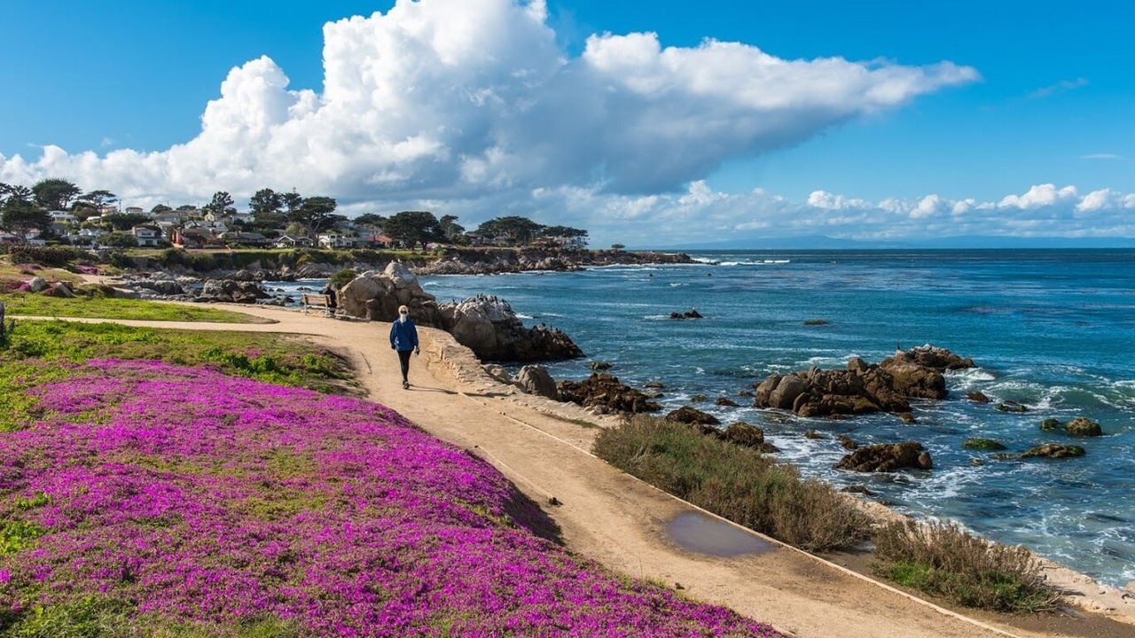 Photo of Others in Pacific Grove