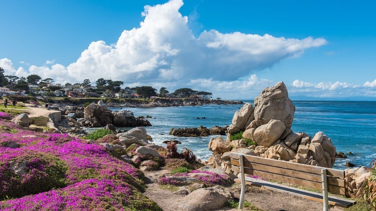 Photo of Others in Pacific Grove