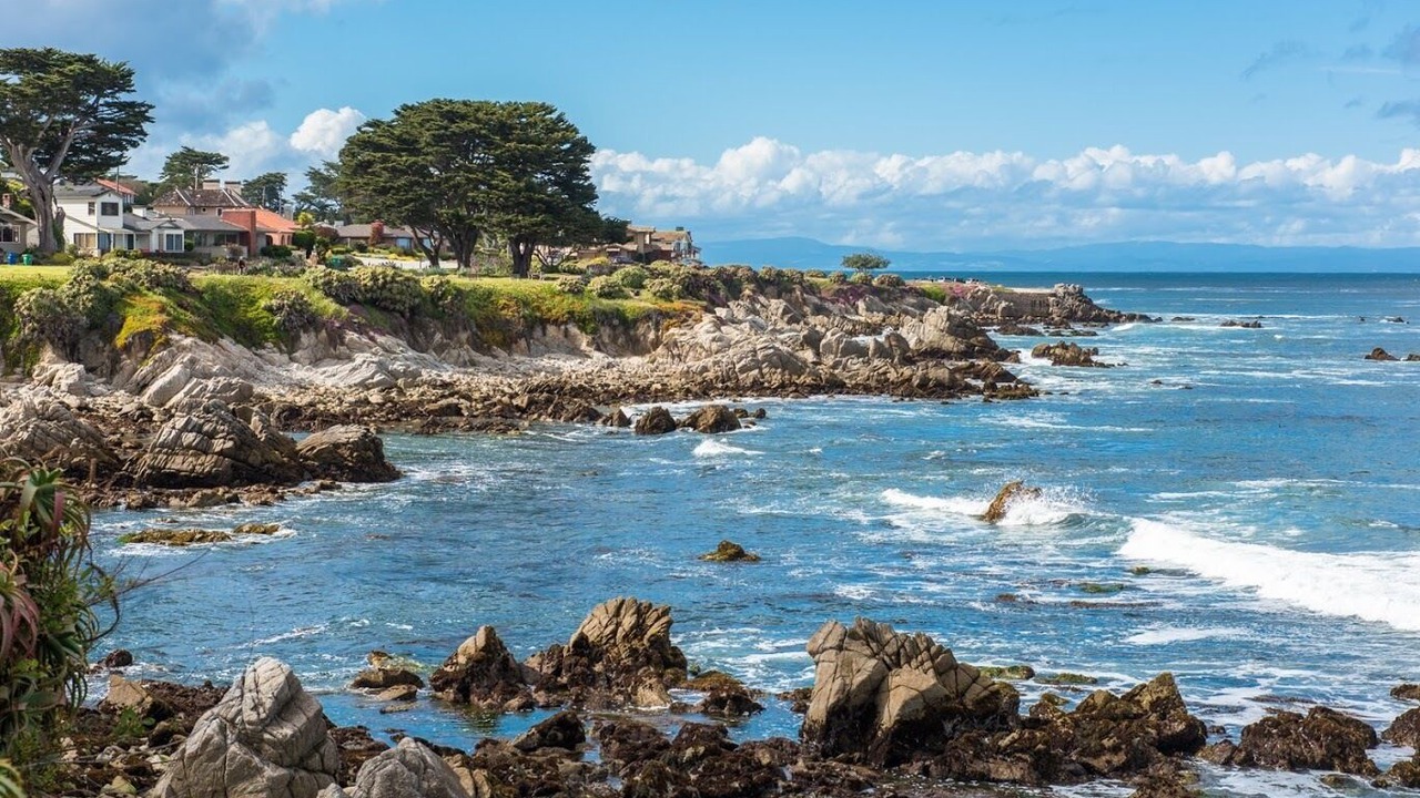 Photo of Others in Pacific Grove