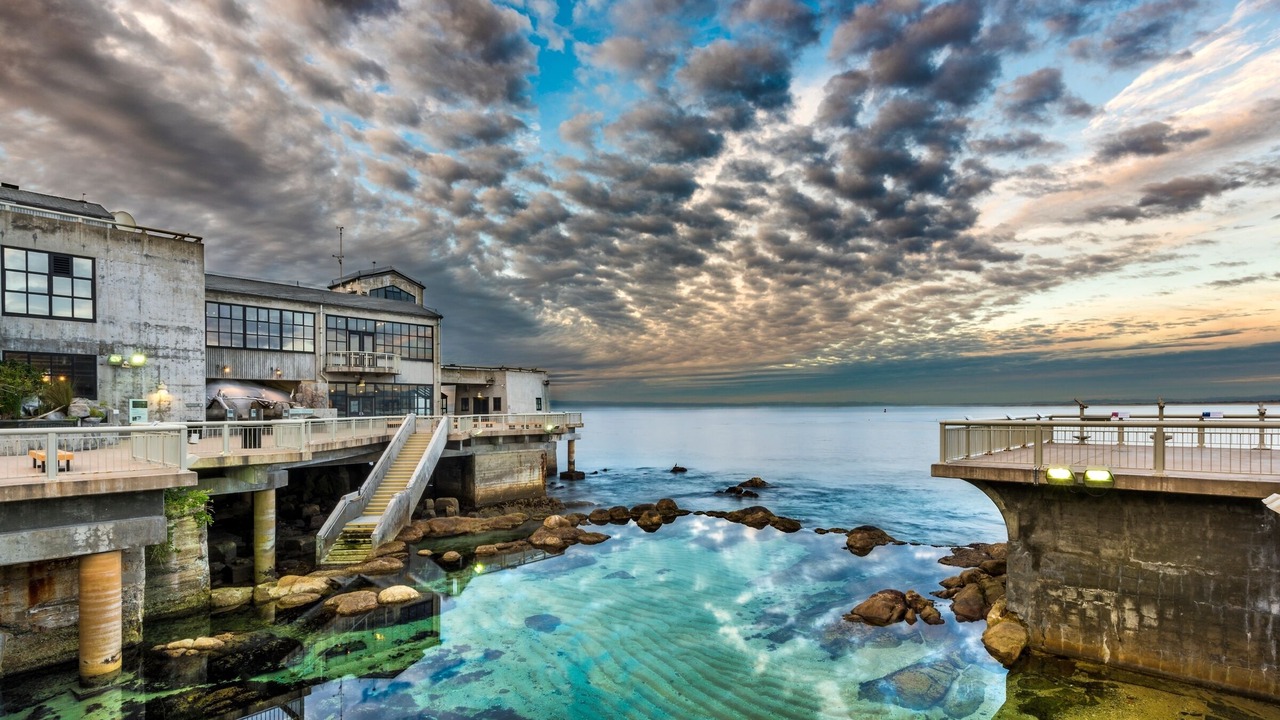 Photo of Others in Pacific Grove