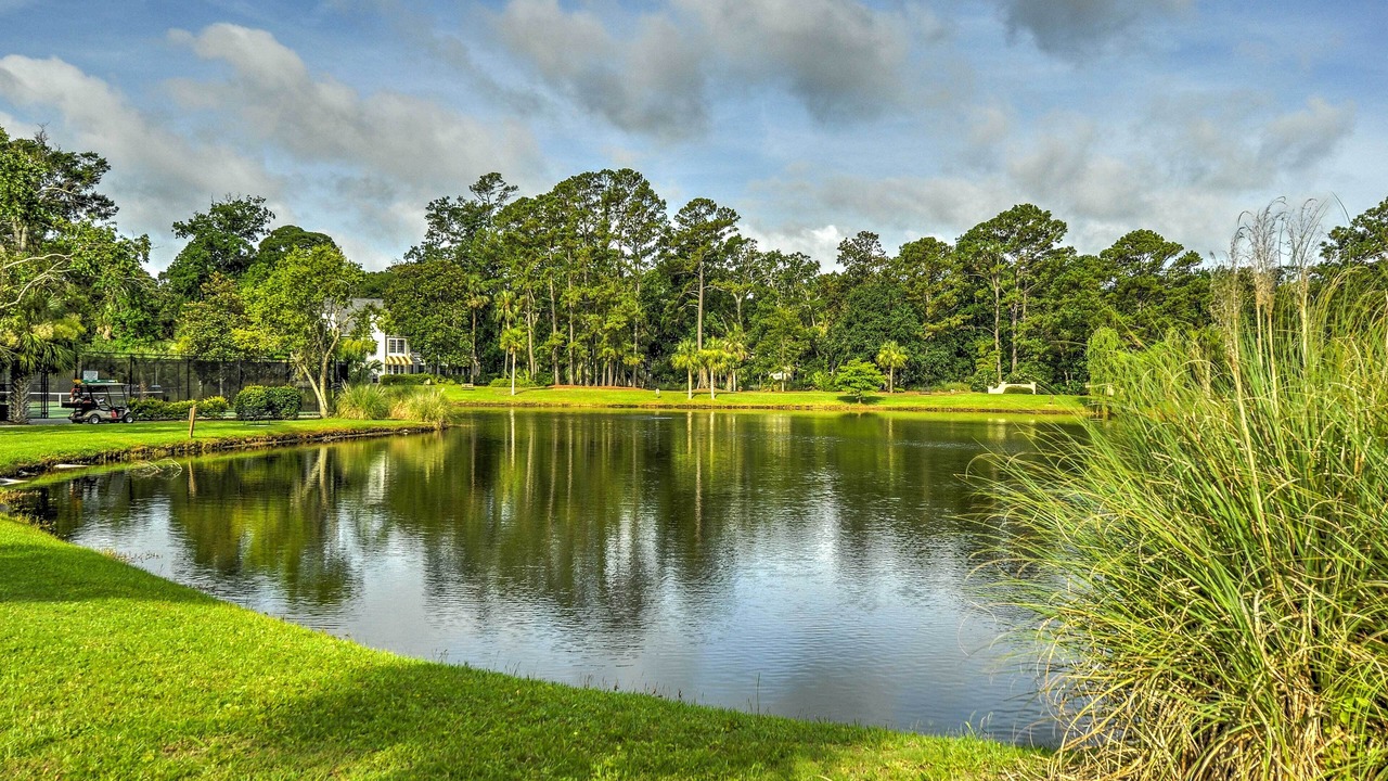 Photo of Outdoor in Shipyard Plantation