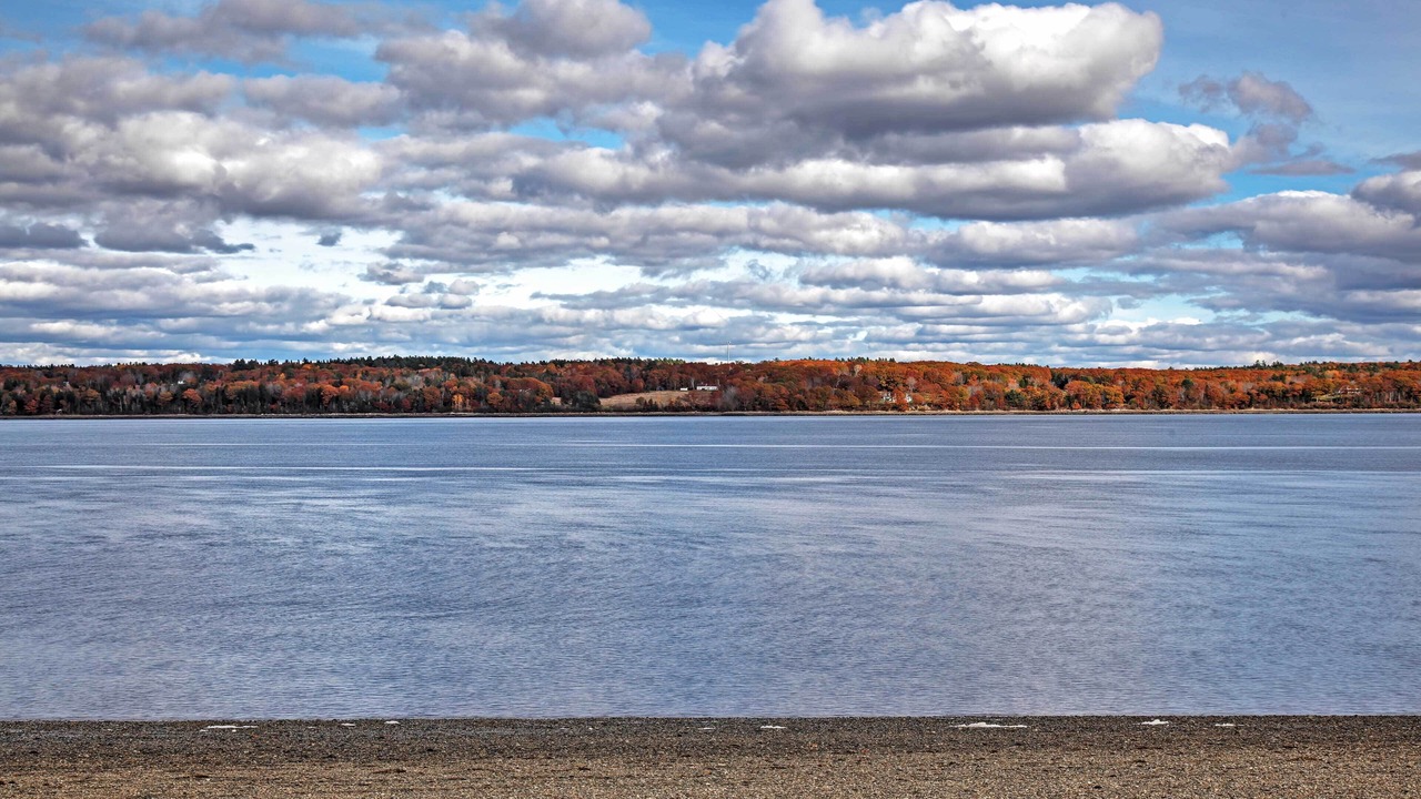 Photo of Others in Sandy Point