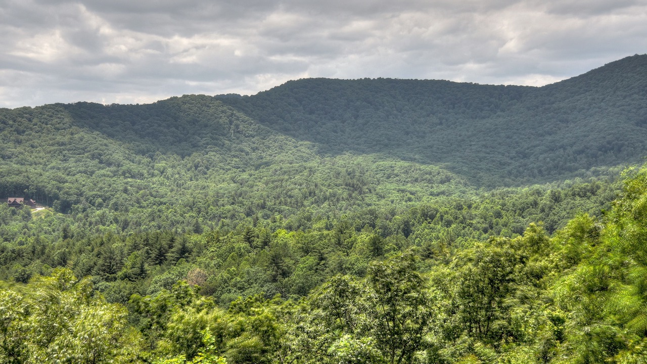 Photo of Others in Ellijay