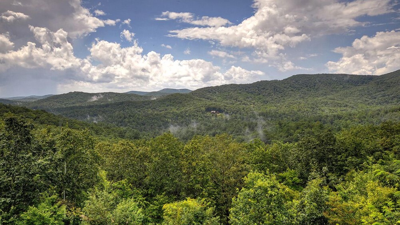 Photo of Others in Ellijay