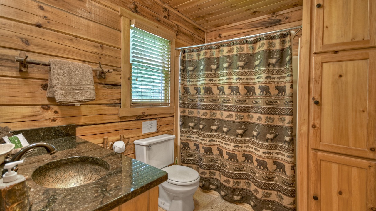 Photo of Bathroom in Ellijay