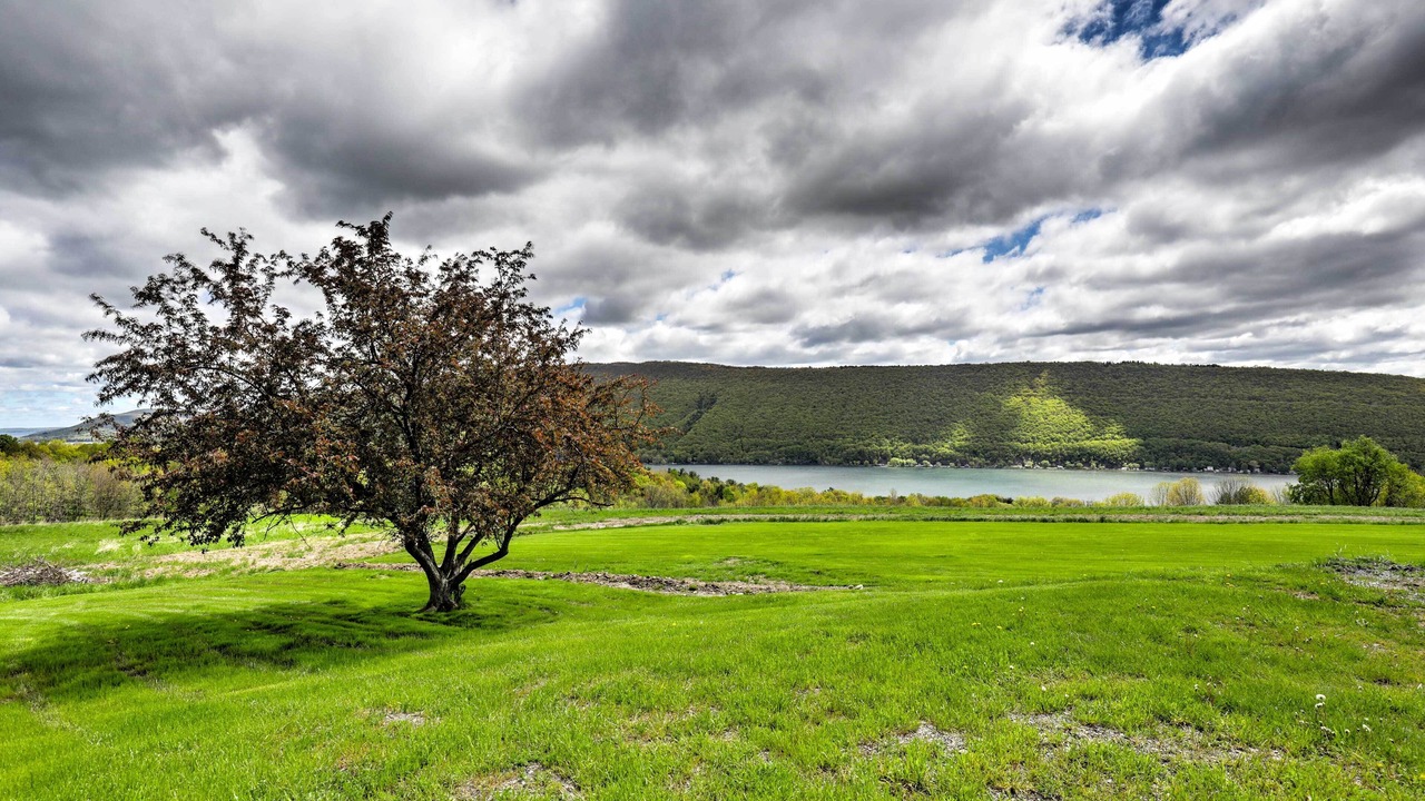 Photo of Others in Naples