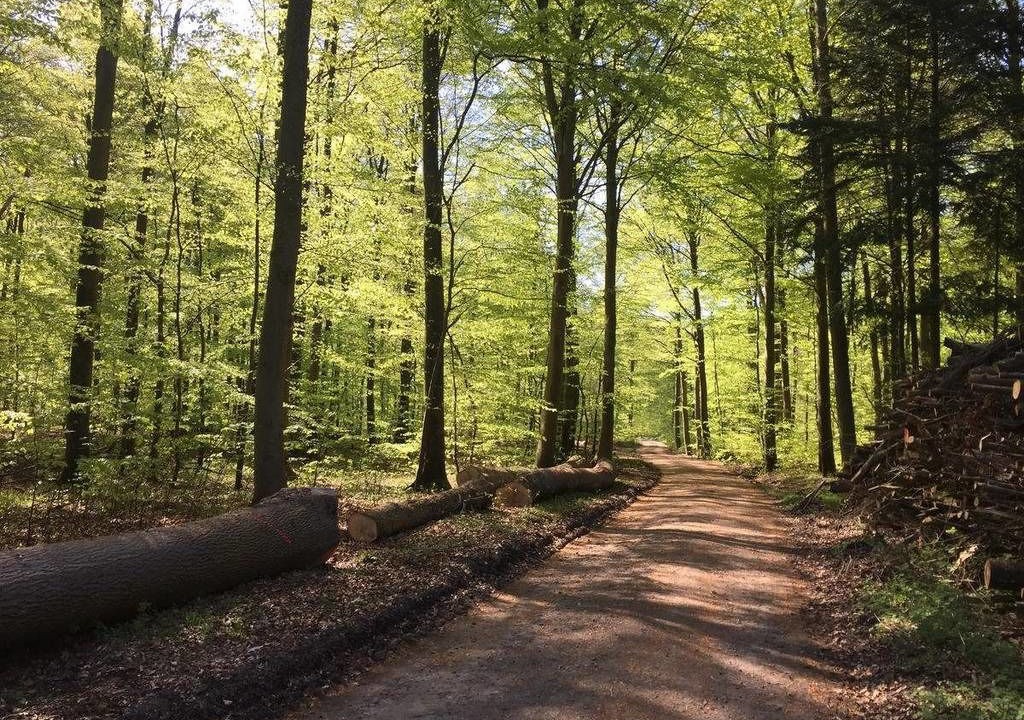 Photo of Outdoor in Faxe