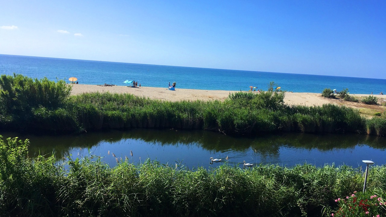 Photo of Others in Ghisonaccia