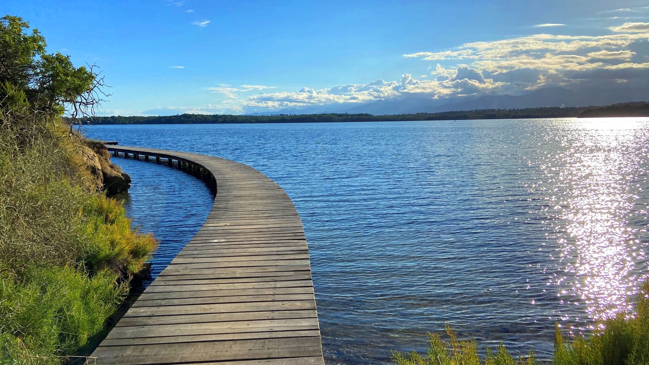 Photo of Others in Ghisonaccia