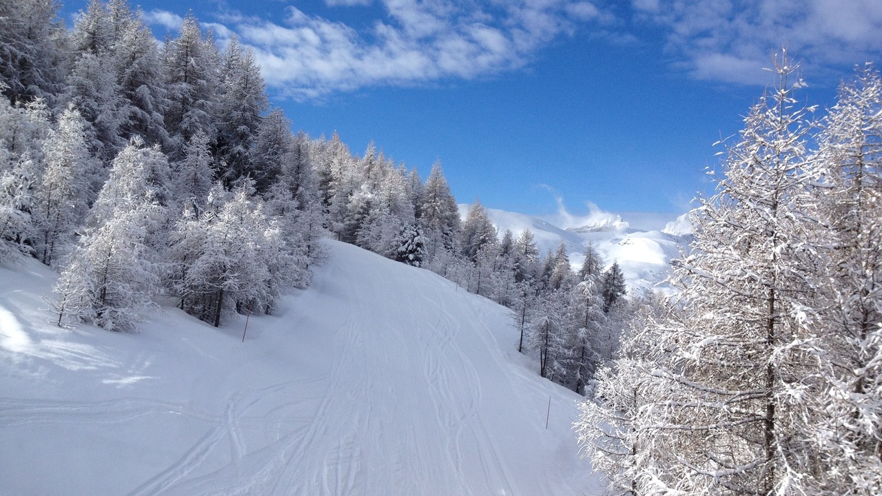 Photo of Others in La Joue du Loup