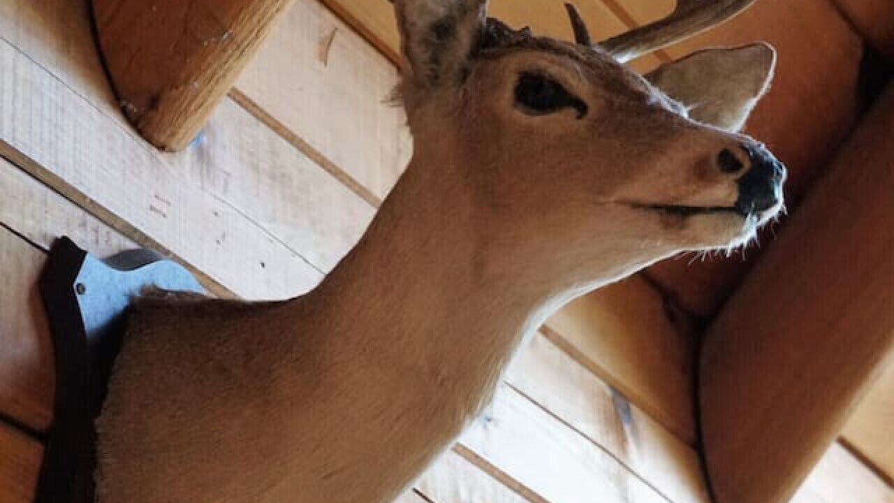 Photo of Others in Helen