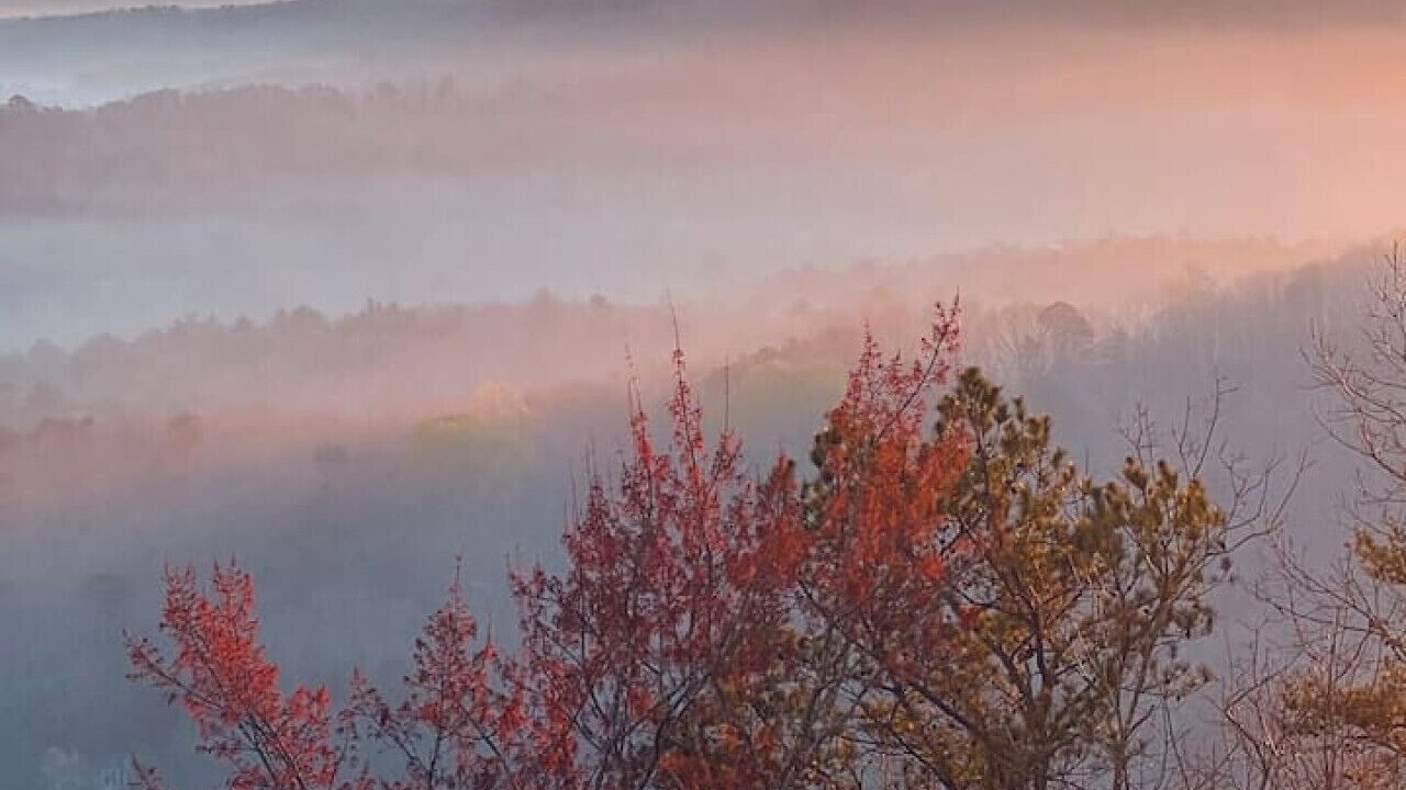 Photo of Others in Helen