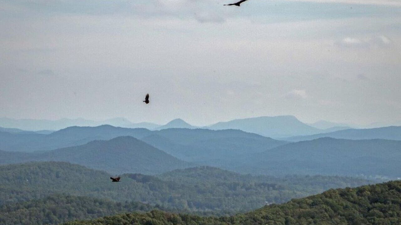 Photo of Others in Helen