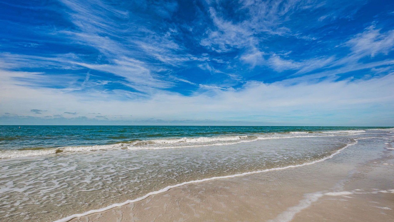 Photo of Others in Indian Rocks Beach