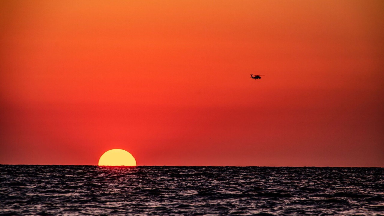 Photo of Others in Indian Rocks Beach