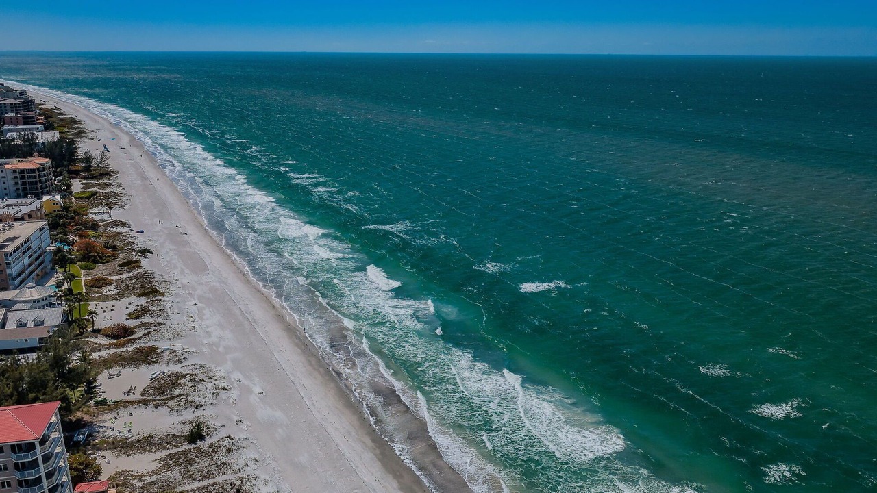 Photo of Others in Indian Rocks Beach