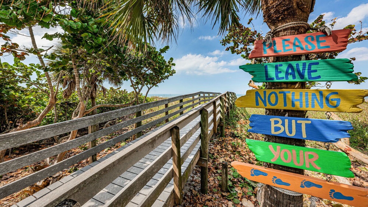 Photo of Others in Indian Rocks Beach