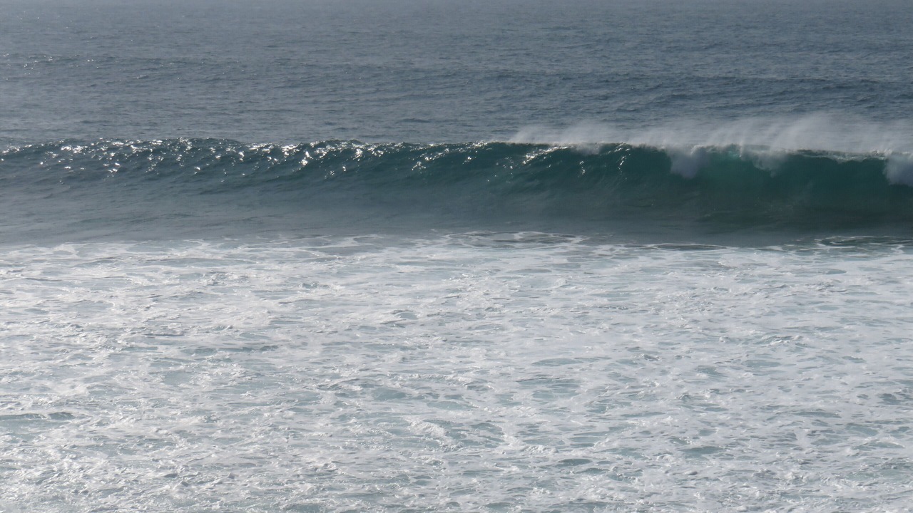 Photo of Others in Todos Santos