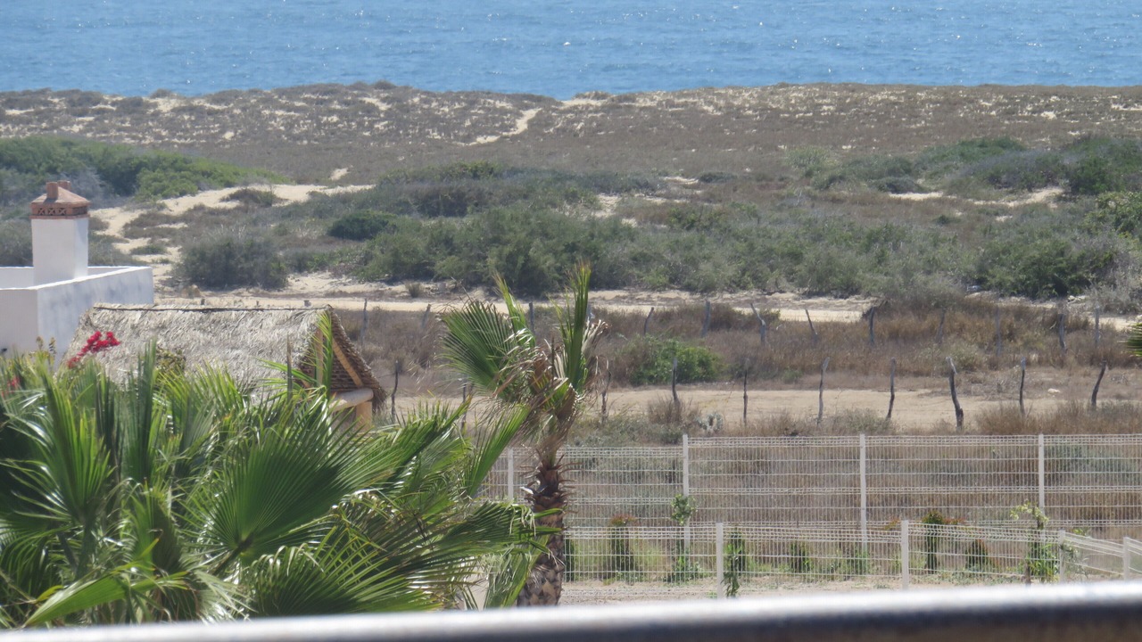 Photo of Others in Todos Santos