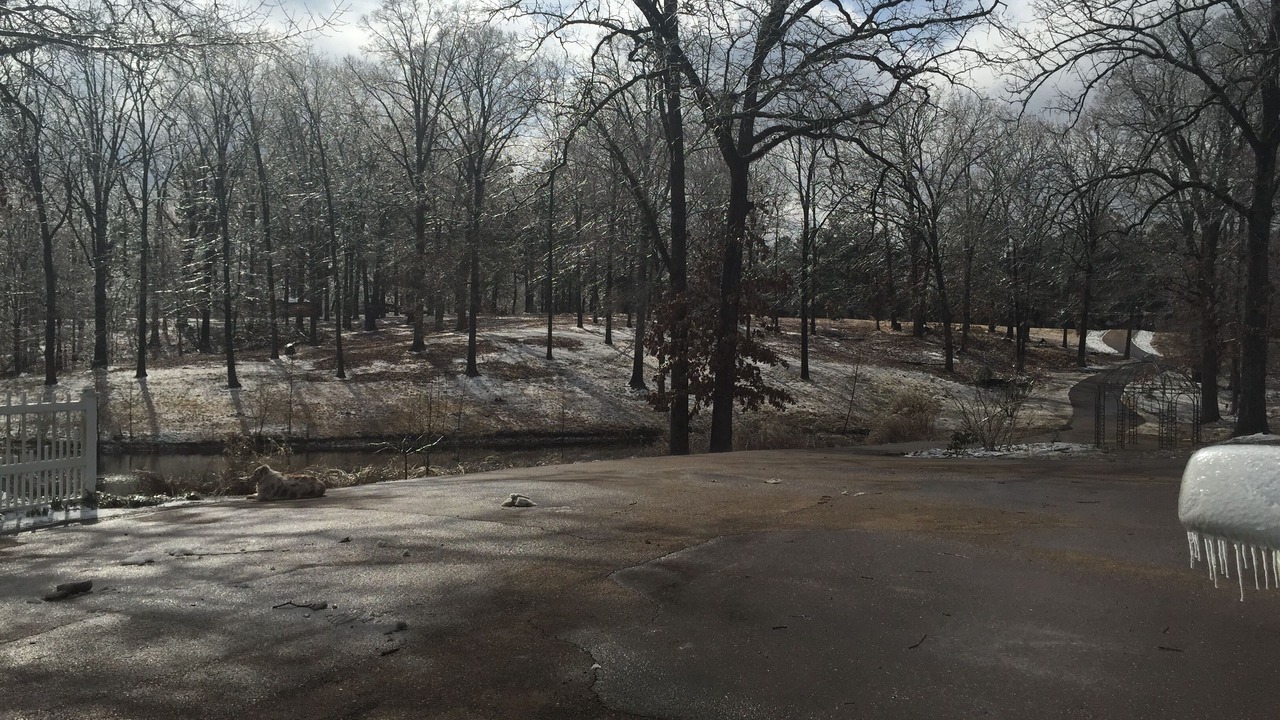 Photo of Others in Hernando