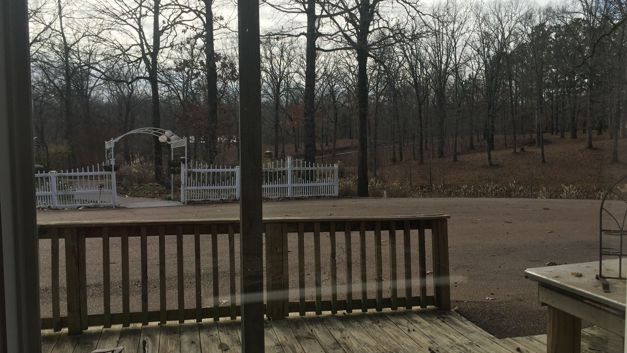 Photo of Outdoor in Hernando