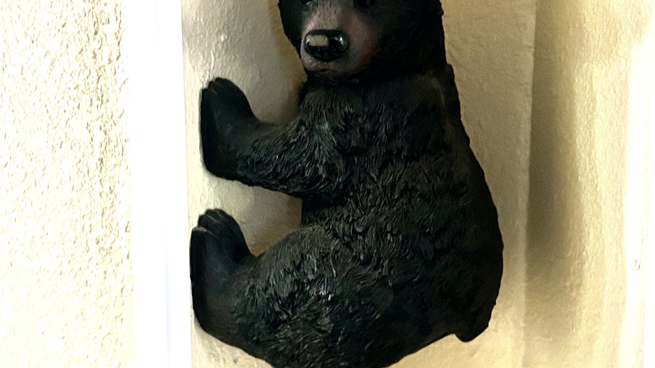 Photo of Others in Gatlinburg