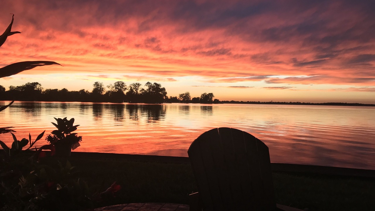 Photo of Others in Lakeview