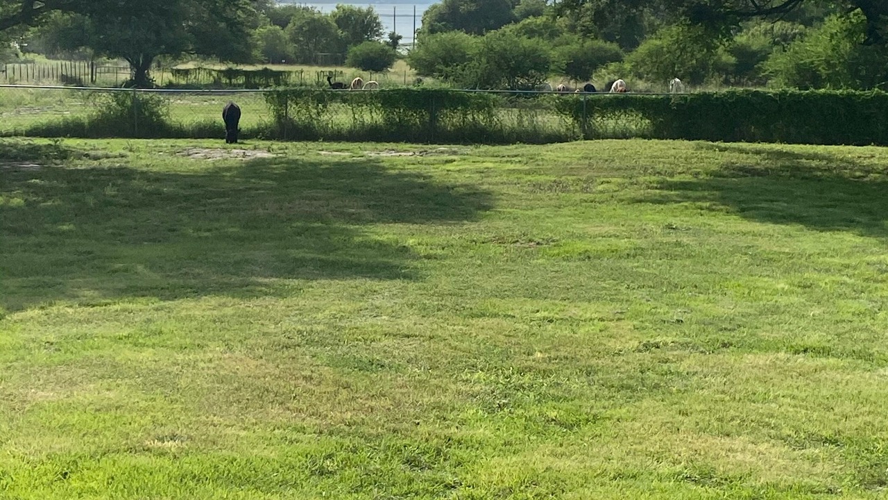 Photo of Others in Lake City