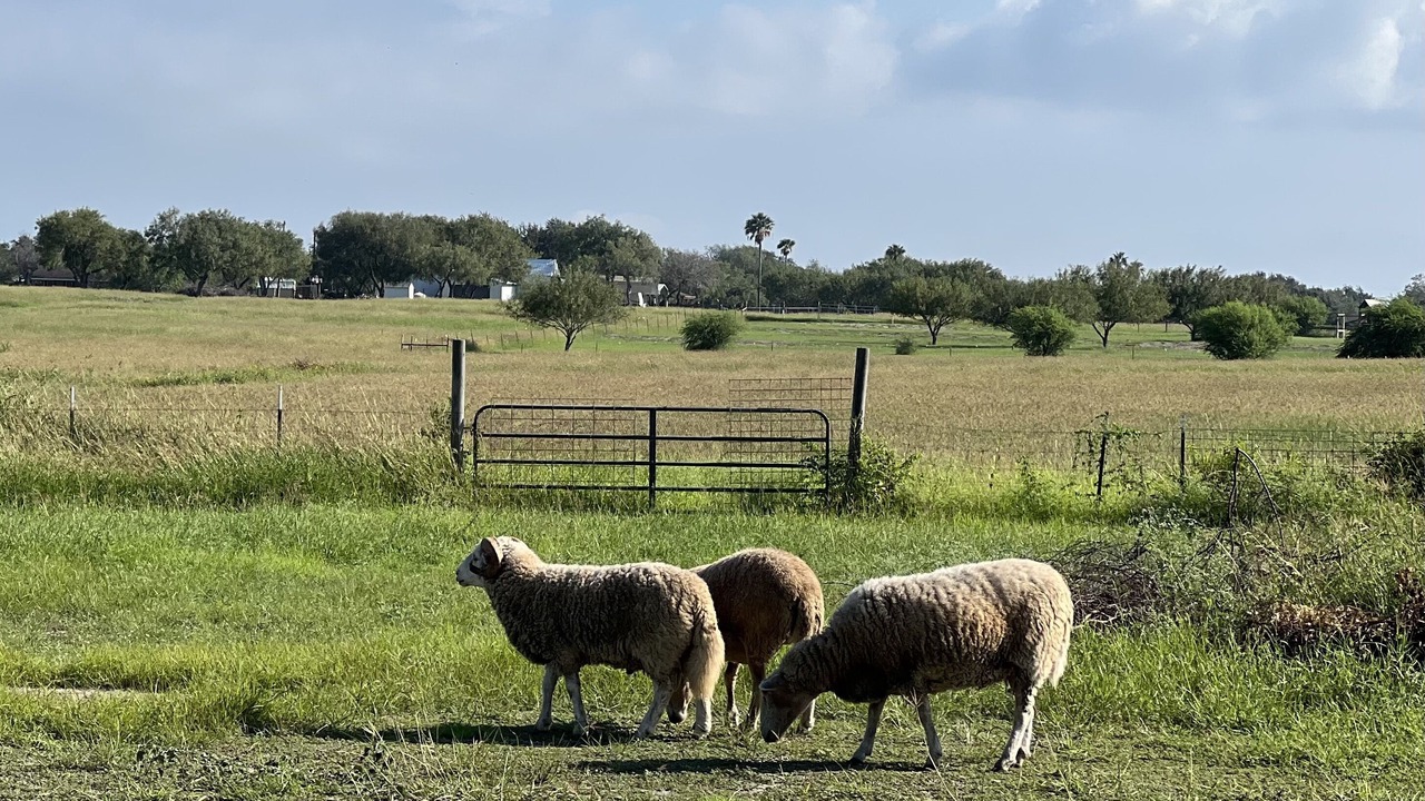 Photo of Outdoor in Lake City