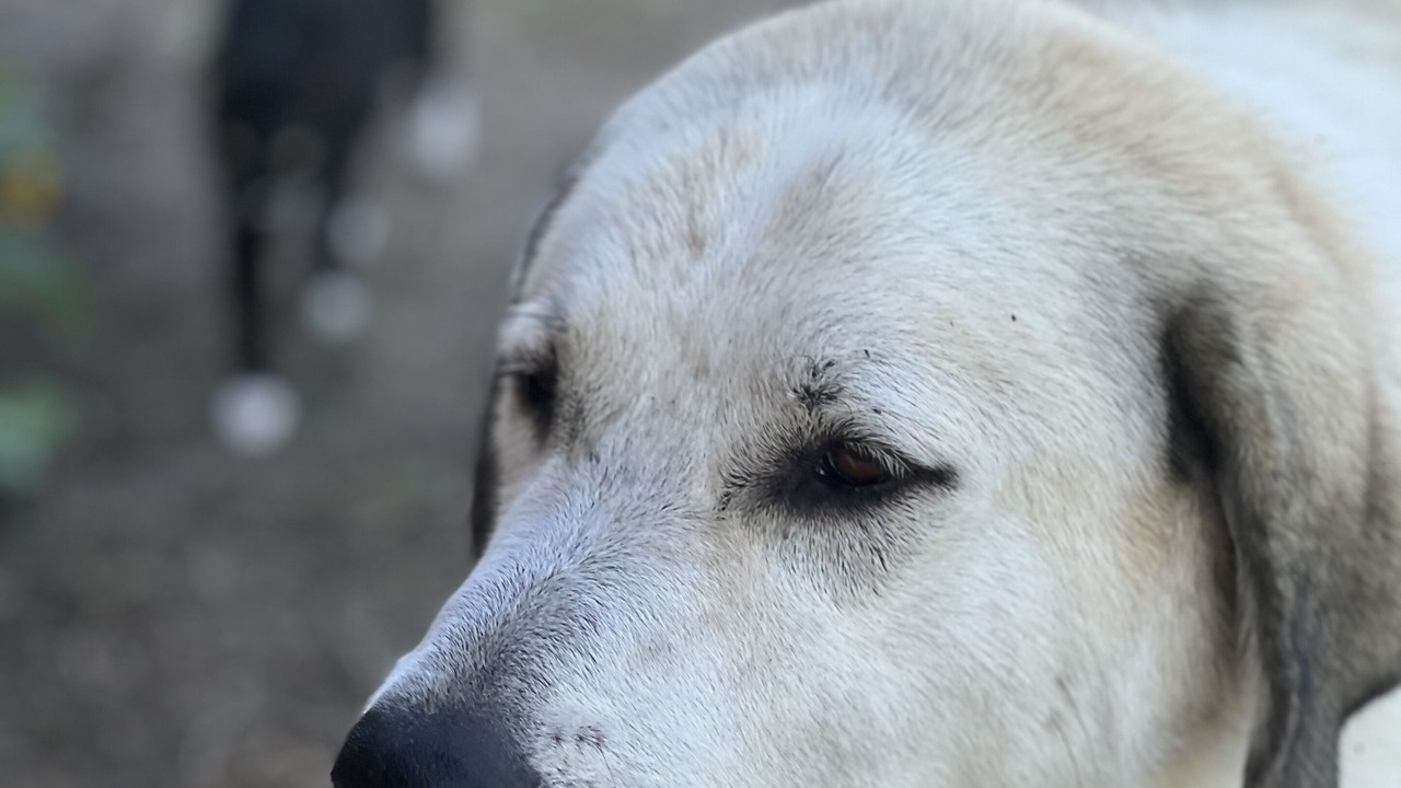 Photo of Others in Lake City