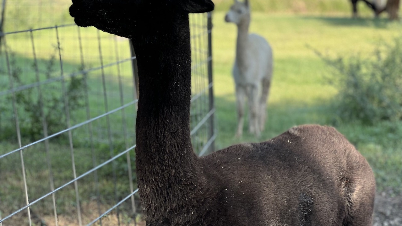 Photo of Outdoor in Lake City