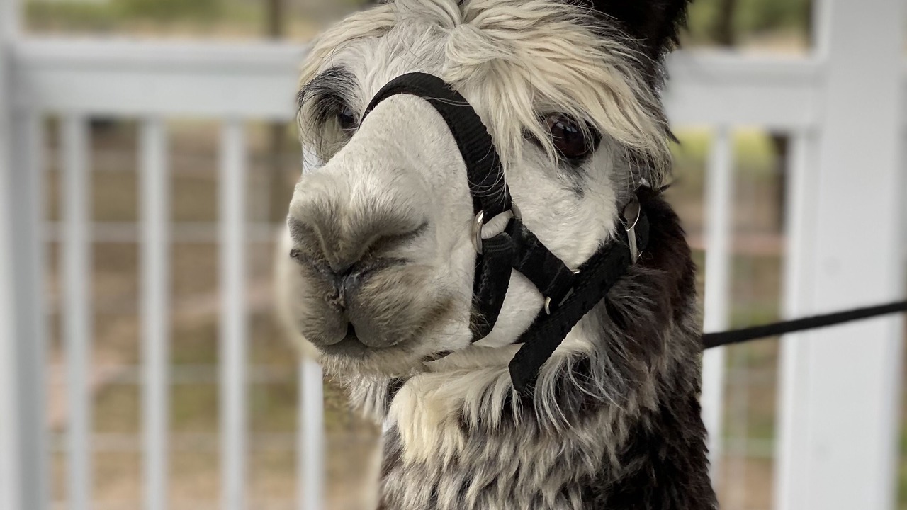 Photo of Outdoor in Lake City