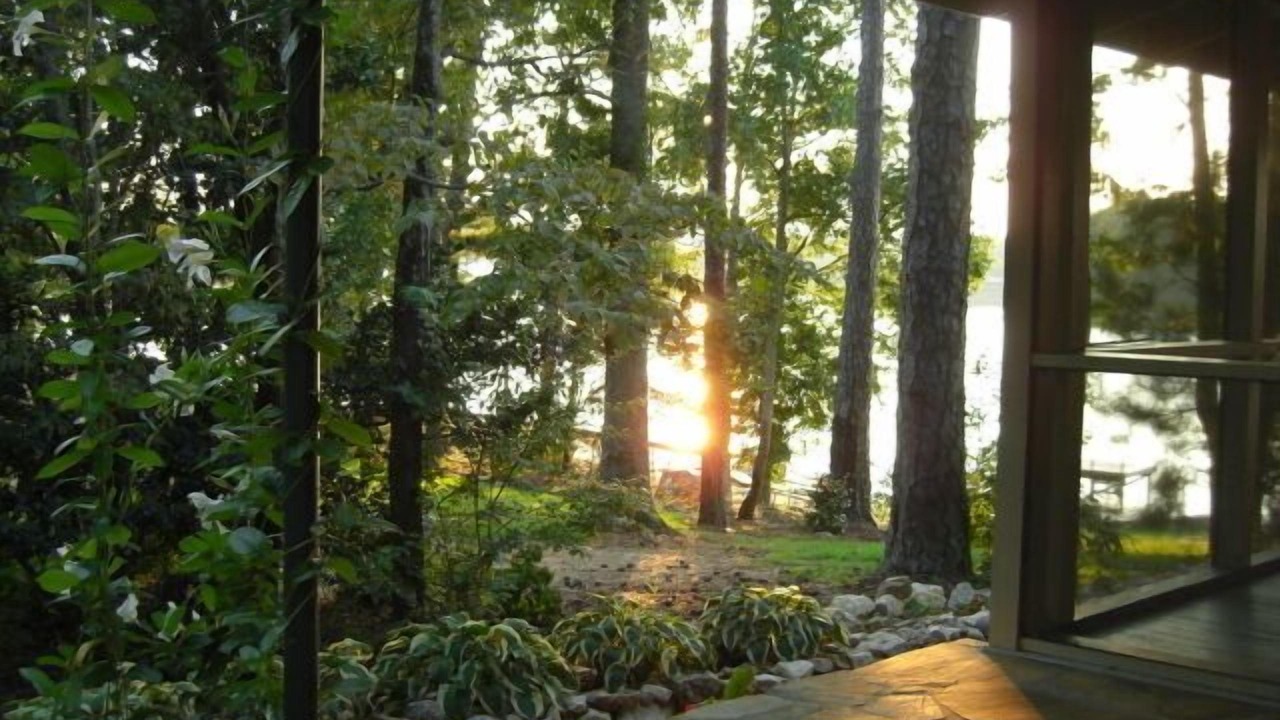 Photo of Outdoor in Eclectic