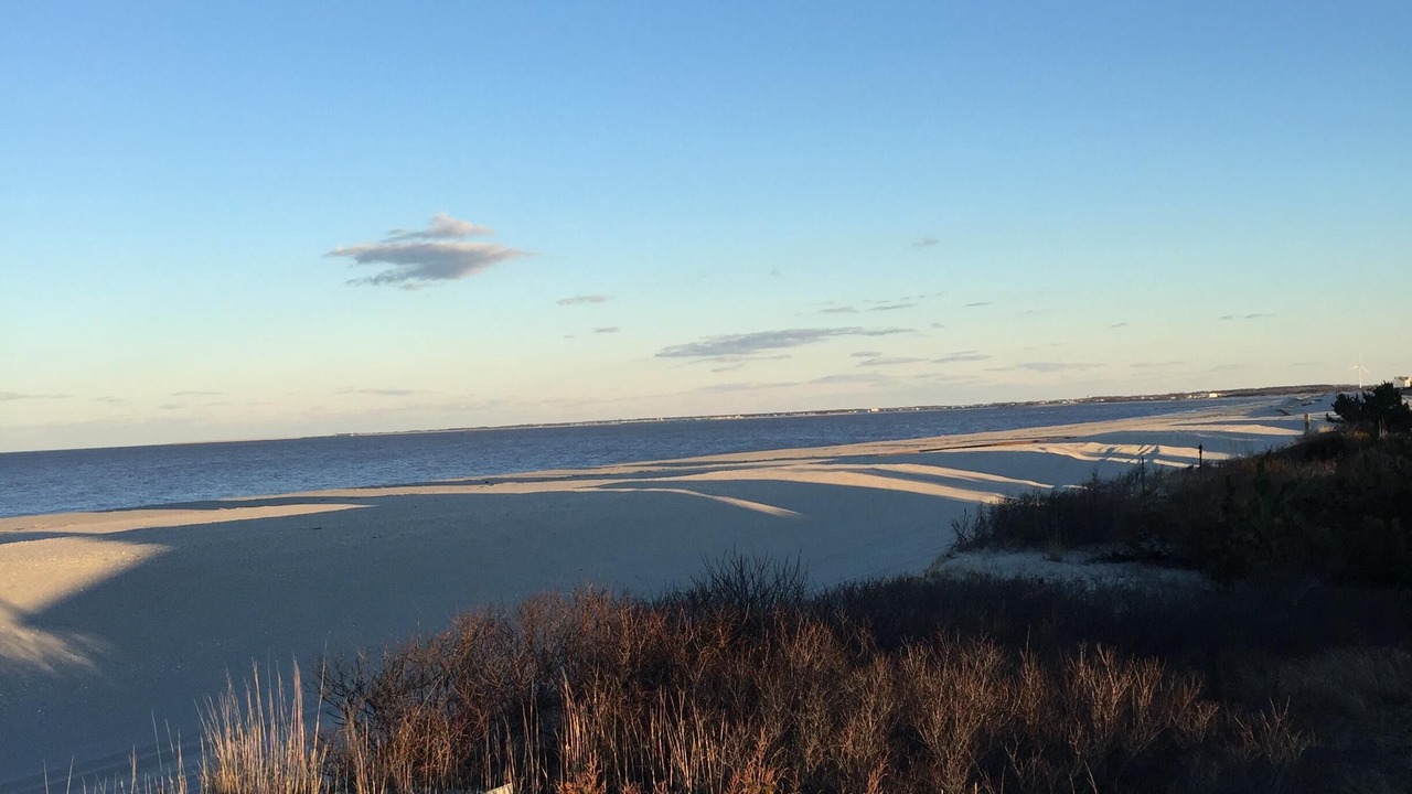 Photo of Outdoor in Broadkill Beach