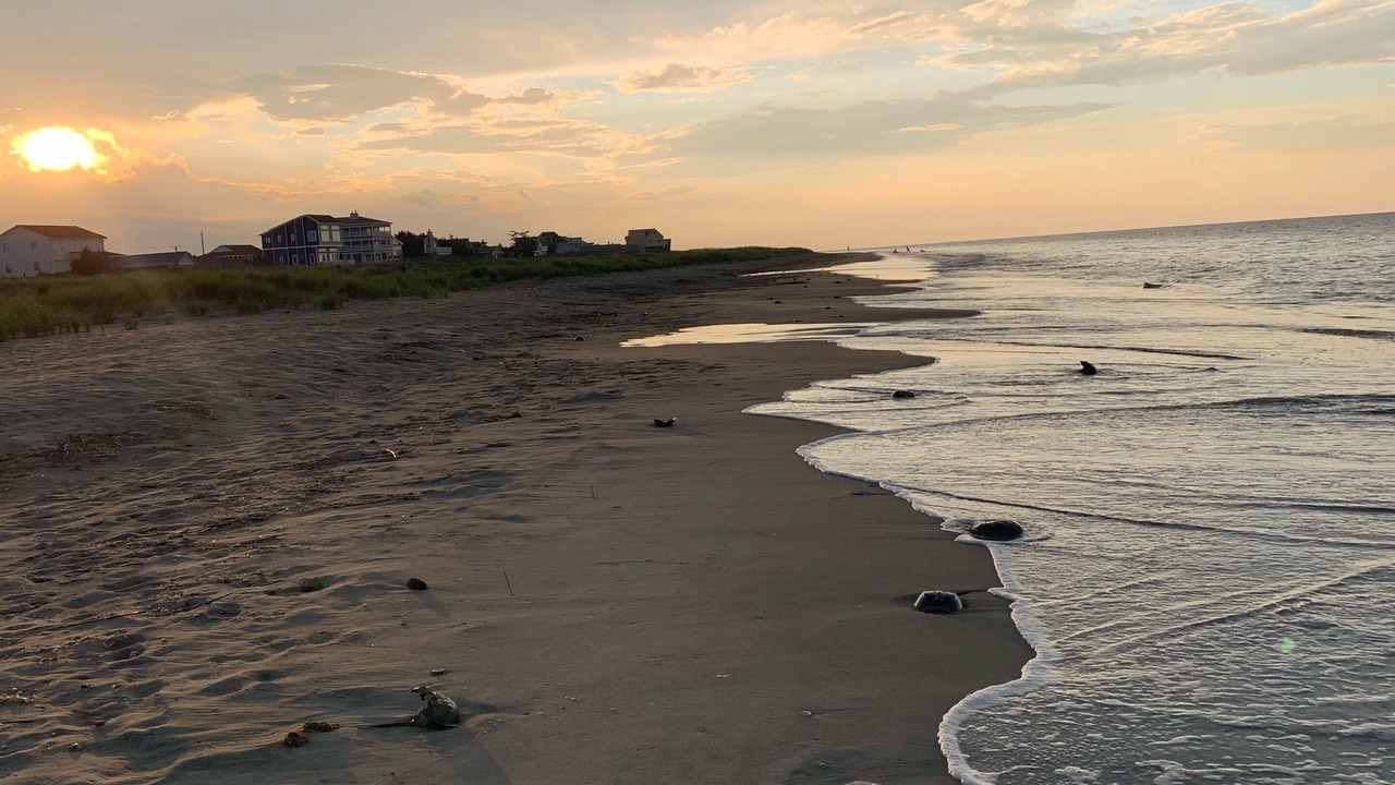Photo of Others in Broadkill Beach