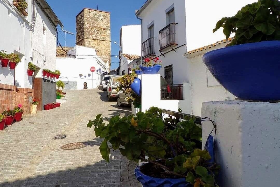 Photo of Outdoor in La Puebla de los Infantes