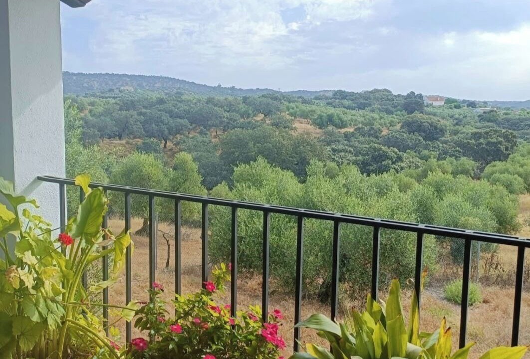 Photo of Outdoor in La Puebla de los Infantes