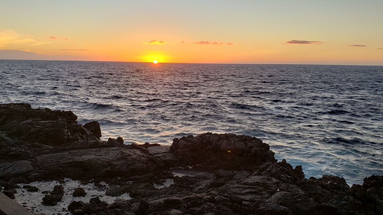 Photo of Others in Captain Cook