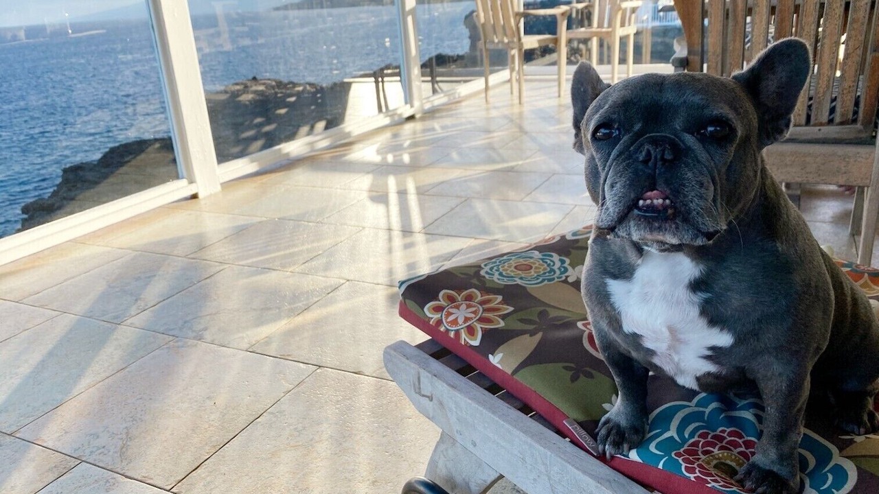 Photo of Others in Captain Cook